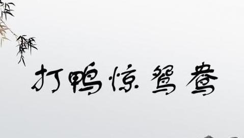 鸳鸯溪成语解析：探寻含鸳鸯成语的奥秘