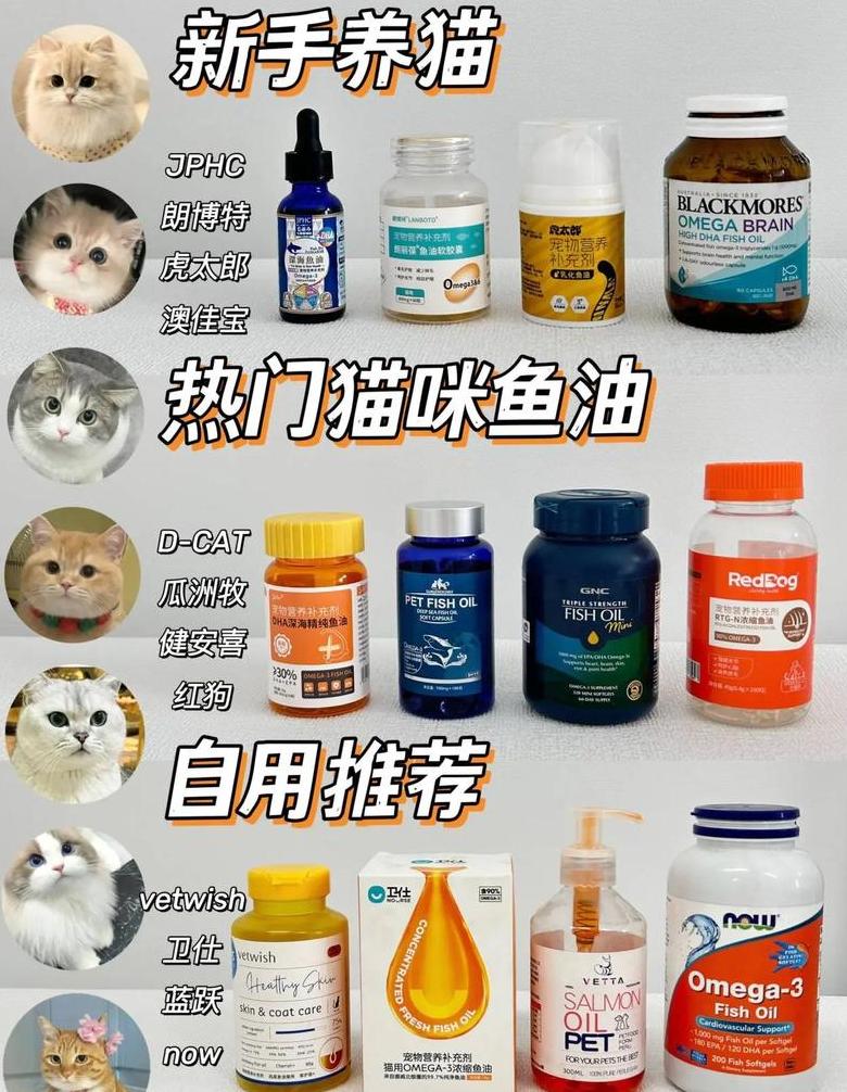 猫咪鱼油喂食频率及注意事项