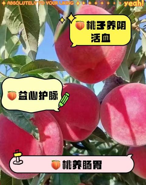 油桃上供适宜性探讨：盘点不宜祭坛水果清单